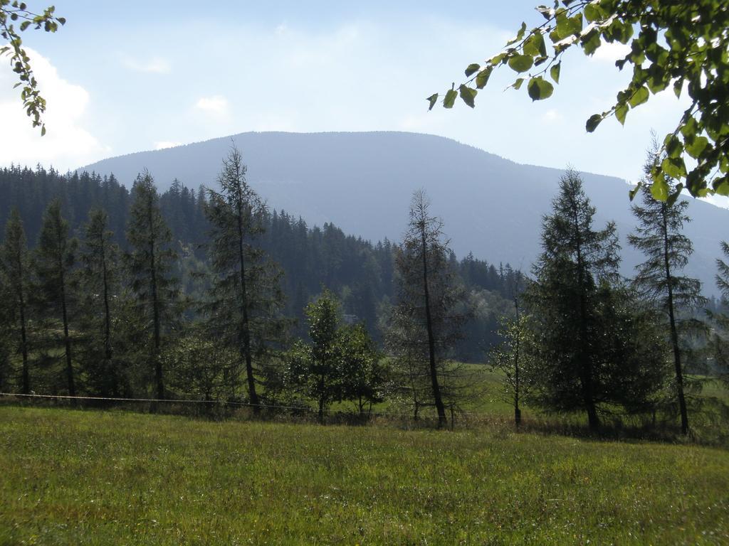 Ubytovani U Pradku Čeladná Dış mekan fotoğraf
